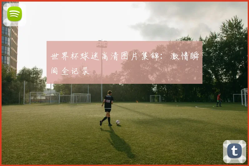 世界杯球迷高清图片集锦:激情瞬间全记录
