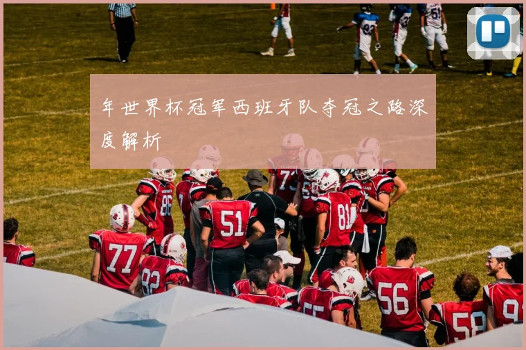 年世界杯冠军西班牙队夺冠之路深度解析