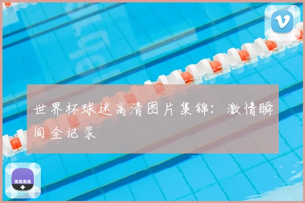 世界杯球迷高清图片集锦:激情瞬间全记录